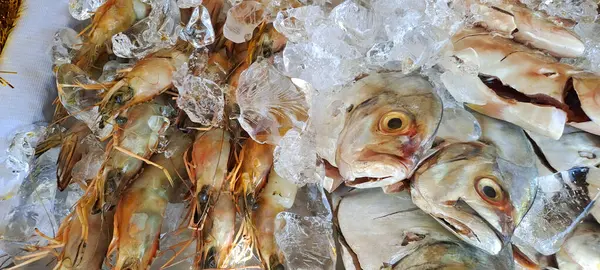 Markette buzlu taze deniz ürünleri.