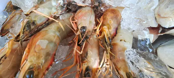 Markette buzlu taze deniz ürünleri.