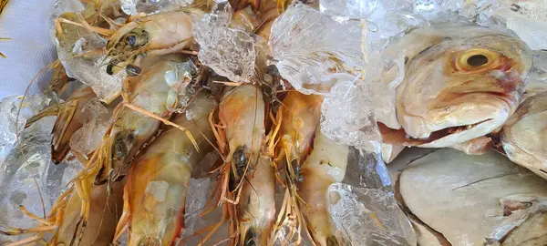 Markette buzlu taze deniz ürünleri.