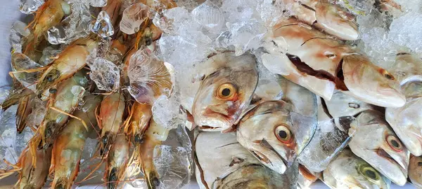 Markette buzlu taze deniz ürünleri.