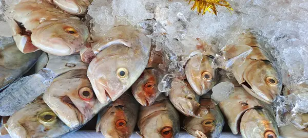 Markette buzlu taze deniz ürünleri.