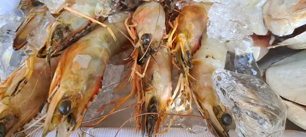 Markette buzlu taze deniz ürünleri.