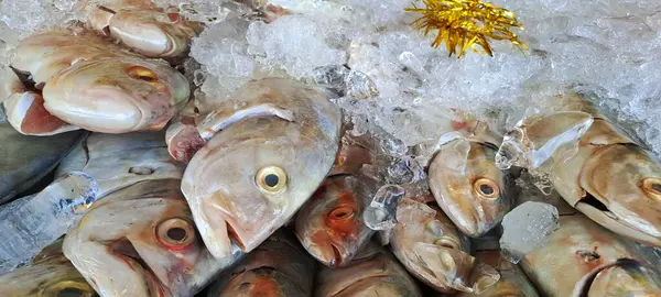 Markette buzlu taze deniz ürünleri.