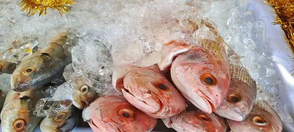 Markette buzlu taze deniz ürünleri.