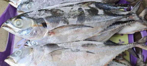 Markette buzlu taze deniz ürünleri.