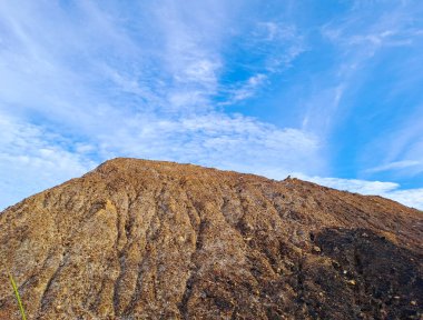 Kalimantan, Endonezya 'da yasa dışı kömür madenciliğinden arta kalan kurak topraklar