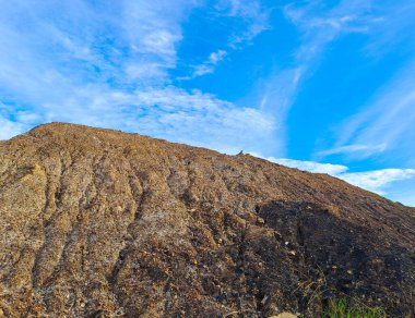 Kalimantan, Endonezya 'da yasa dışı kömür madenciliğinden arta kalan kurak topraklar