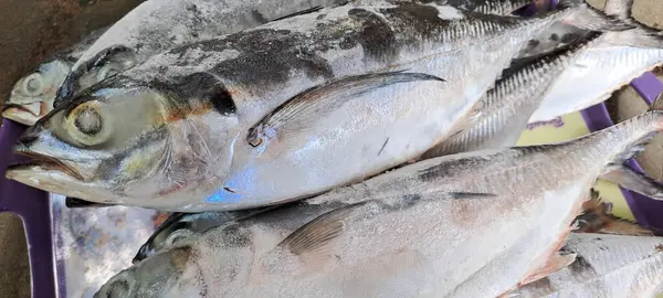 Markette buzlu taze deniz ürünleri.