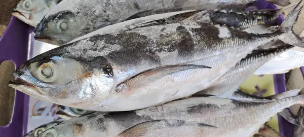 Markette buzlu taze deniz ürünleri.