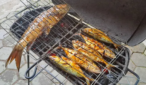 ızgarada Balık Pişirme