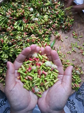 El Tutuşu Organik karanfil Baharatı