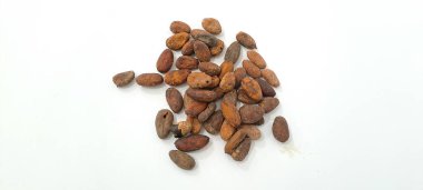Soyulmamış kakao çekirdeği beyaz arka planda izole edilmiş.
