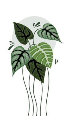 Arkaplan için vektör doğa bitkileri