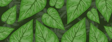 Doğa Yaprakları İniş Sayfası Tasarımı ve Arkaplanı