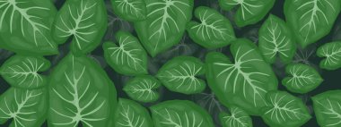 Doğa Yaprakları İniş Sayfası Tasarımı ve Arkaplanı