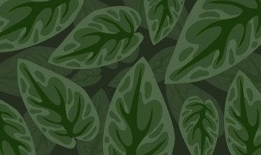 Doğa Yaprakları İniş Sayfası Tasarımı ve Arkaplanı