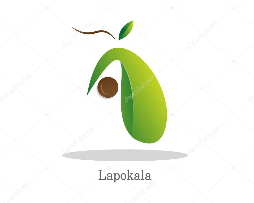 Avocado Logo Design vector
