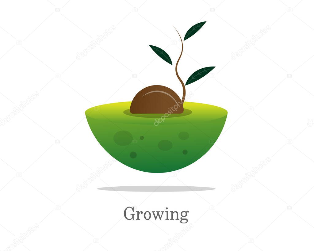 Avocado Logo Design vector