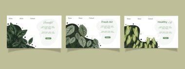 Bitki Doğa İllüstrasyon Vektörü arkaplanı