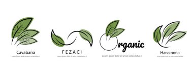 Çevre ve Organik Markalar için Doğal Yaprak Logosu Tasarımı