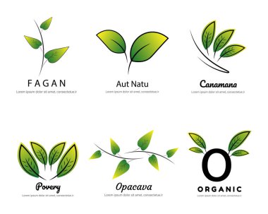 Çevre ve Organik Markalar için Doğal Yaprak Logosu Tasarımı