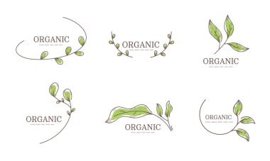 Doğa Eko Logosu Toplama Temiz demet Çevre dostu doğa logosu Yapraklar, ağaçlar, su ve organik şekiller içerir