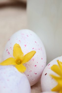 Benekli bir Paskalya yumurtasının sarı bir fındık çiçeğiyle minimalist yakın çekimi. Yumuşak doğal ışık ve pastel tonlar sakin bir bahar atmosferi yaratır..
