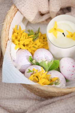 Pastel benekli yumurtalarla dolu neşeli Paskalya sepeti, parlak sarı fındık çiçekleri ve içinde çiçek olan beyaz bir mum. Konforlu tekstil arkaplanı bileşimin sıcaklığını arttırır.