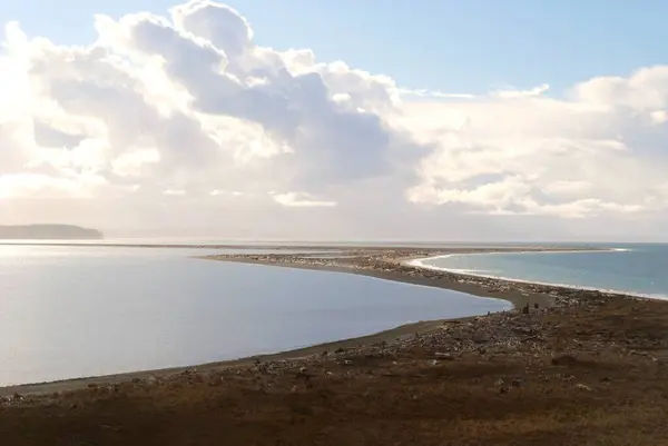 İsrail 'in kuzeyindeki deniz ve sahilin havadan görüntüsü.