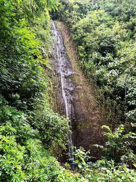 Şelalenin güzel manzarası