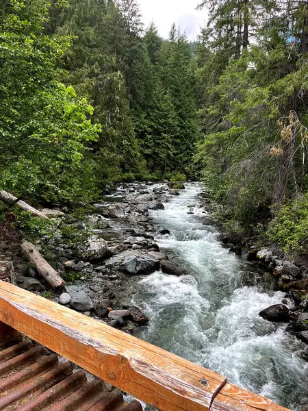 Dağlardaki nehrin güzel manzarası