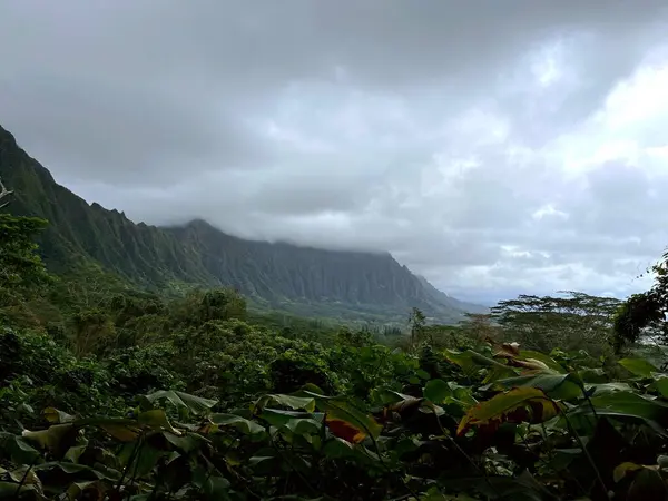 Tekneden elmas kafa manzarası