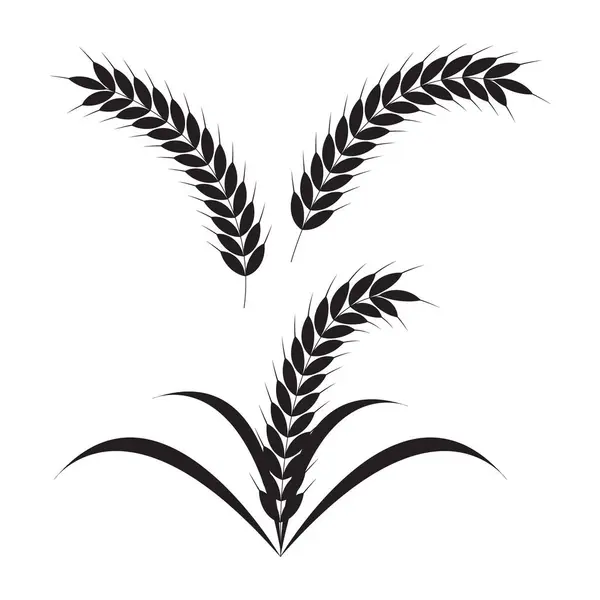 buğday siyah kulaklı vektör kümesi