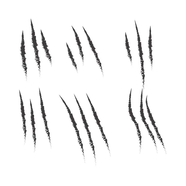 siyah ve beyaz vektör fırça darbeleri ayarlandı