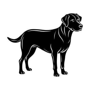 siluet siyah ve beyaz köpek