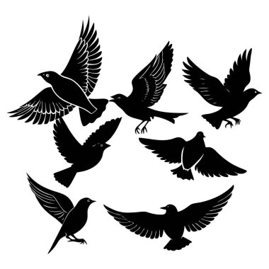 Uçan kuşların siluet vektör kümesi