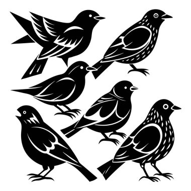 bir grup siyah kuş.