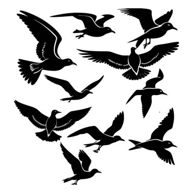 kuşlar kümesi. vektör çizim