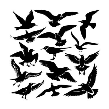 siyah kuş silhouettes