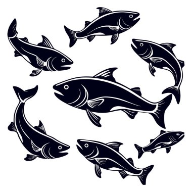 Deniz balığı vektör çizimi seti