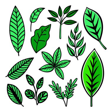 vektör kümesi yeşil yapraklar çizdi