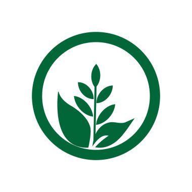 Yeşil yapraklı ekoloji doğa elementi