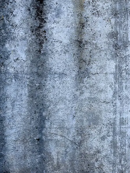 Ayrıntılı gri çimento yüzeyi hava durumu, yosun büyümesi ve dikey su akımının kentsel veya endüstriyel sanat çalışmaları için mükemmel olduğunu gösteriyor..