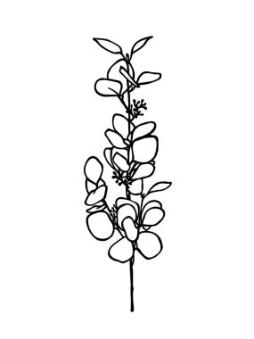 Yaprakları kabataslak, elle çizilmiş bir çiçek sapının tek renkli çizimi. Botanik temalar ve minimalist estetik için ideal. Vektör illüstrasyonu