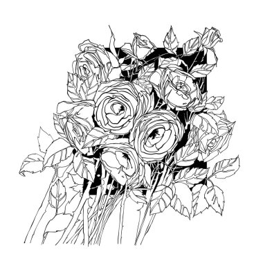  Siyah beyaz çizgili zarif bir gül çiçeği. Botanik baskılar, davetiyeler, ambalajlar ve çiçek temalı tasarım projeleri için mükemmel. Vektör illüstrasyonu