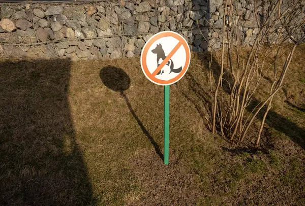 Çimen Bölgesinde Köpek Yasaktır