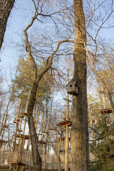 Macera Parkı 'ndaki Ağaçtaki Kuş Evi