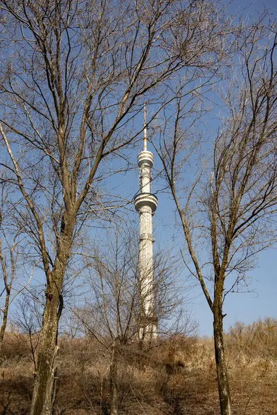 Çıplak Ağaçlar Tarafından Çerçevelenmiş Almaty Kulesi