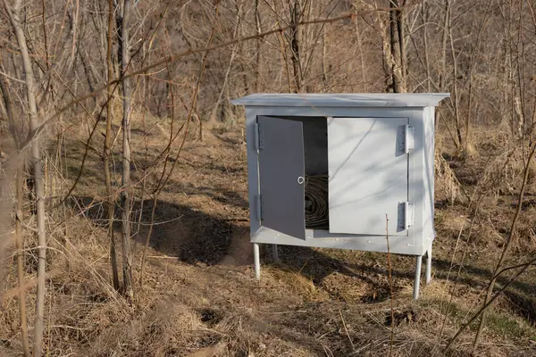 Açık Metal Kutu Ormanı