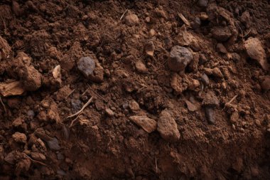 Yeraltı kahverengi toprak katman malzeme dokusu kolajı işlenmiş. Pankart, arkaplan veya 3B haritalama için doku